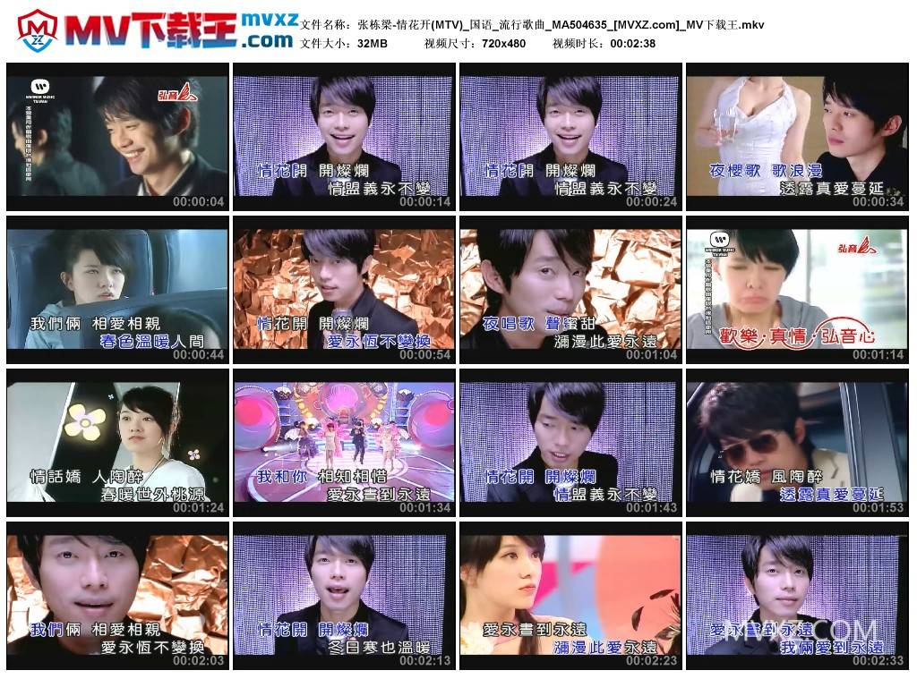 张栋梁-情花开(MTV)_国语_流行歌曲_MA504635